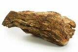Triassic-Age Petrified Wood Log - Madagascar #378897-1